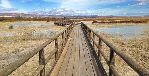El Hondo, humedal entre Elche y Crevillente