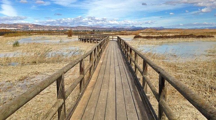El Hondo, humedal entre Elche y Crevillente