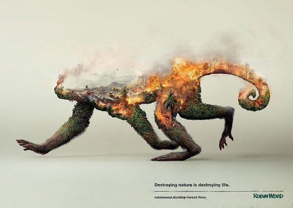 Destruir la naturaleza Destruir la naturaleza