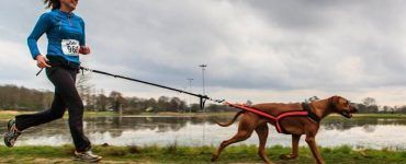 canicross deporte running correr perro