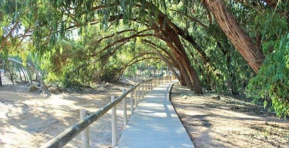 Parque Natural de Las Lagunas de La Mata y Torrevieja