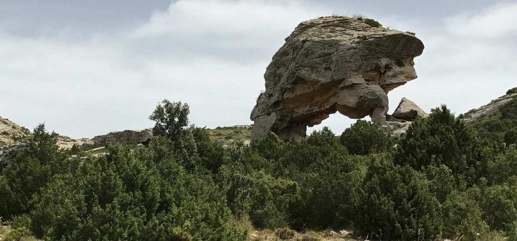 Arco-de-San-Pascual-Turismo-Rural