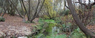 Ruta por el río Vinalopoó en invierno