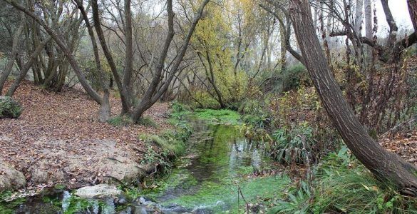 Ruta por el río Vinalopoó en invierno