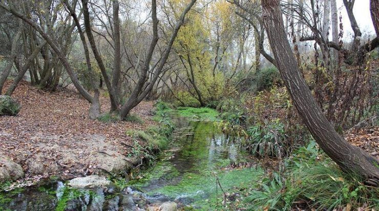 Ruta por el río Vinalopoó en invierno