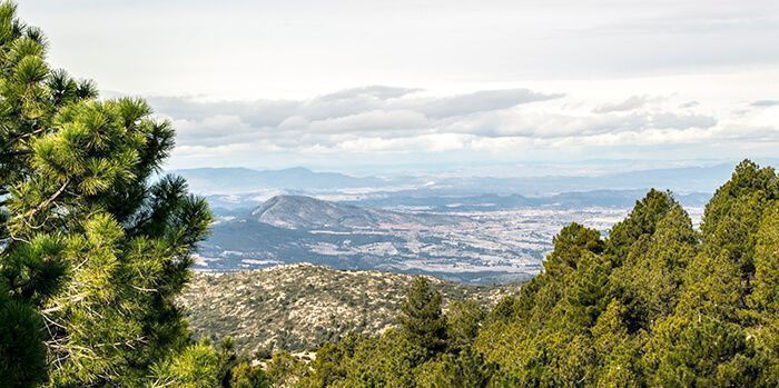 Sierra Espuña María Cánovas