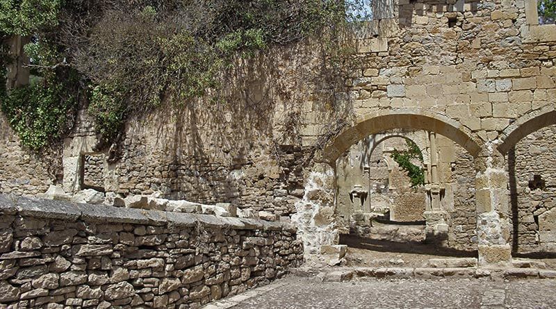 Las ruinas del Monasterio de Rioseco
