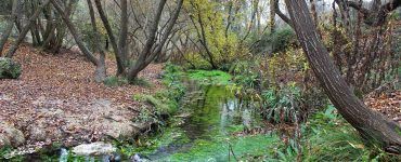 Nacimiento Rio Vinalopó Turismo Piscinas Naturales