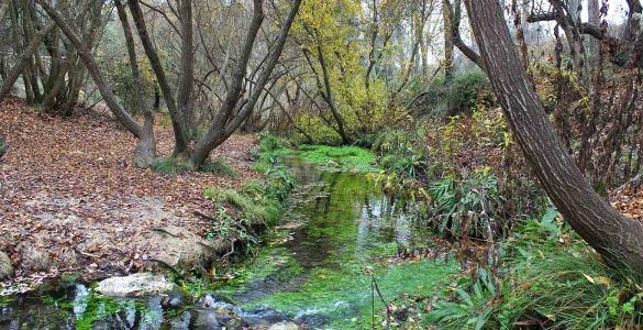 Nacimiento Rio Vinalopó Turismo Piscinas Naturales