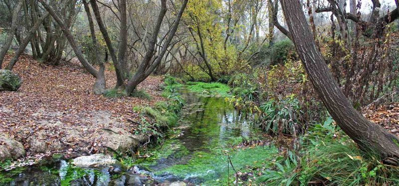 Nacimiento Rio Vinalopó Turismo Piscinas Naturales