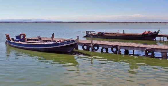 Albufera de Valencia