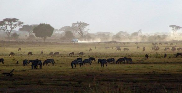 Patrimonios de la Humanidad en Kenia