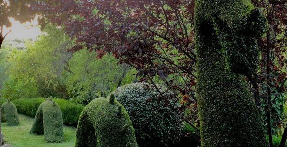 El bosque encantado de Madrid