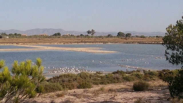 Salinas de Santa Pola