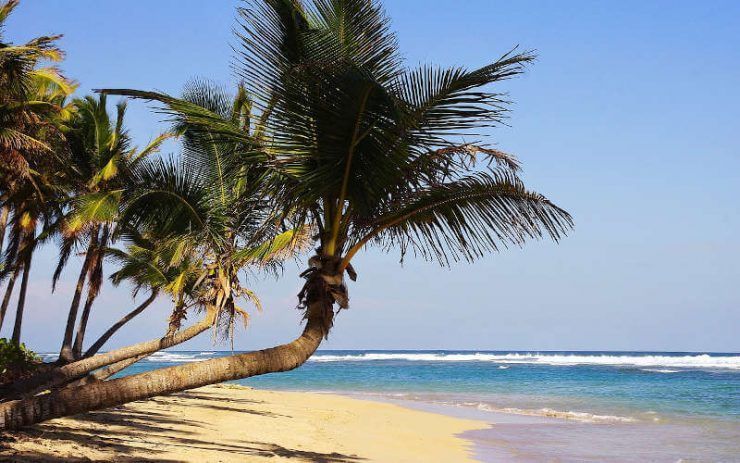 punta cana excursiones