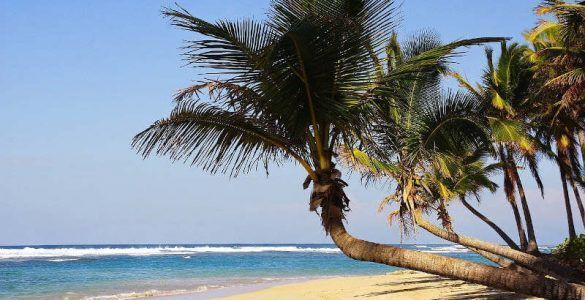 Punta Cana