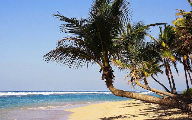 Punta Cana