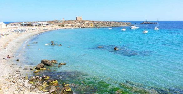 tabarca