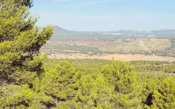 La ruta del Montemayor es ideal para todo tipo de senderistas. El camino es de dificultad moderada y se puede completar en unas pocas horas.