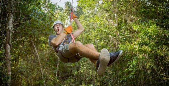 selvatica parque