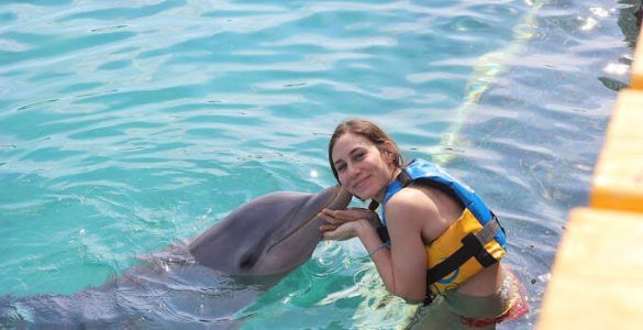 Experiencia de nado con delfines en la Riviera Maya con Dolphin Discovery Puerto Aventuras
