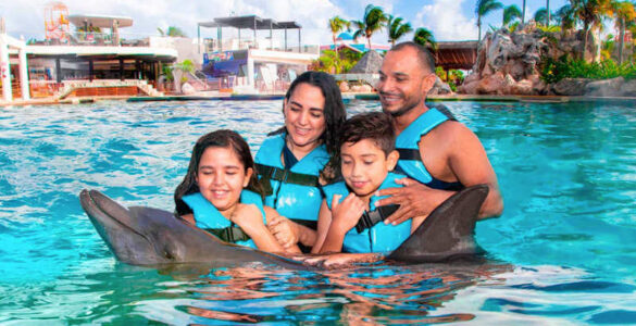 delfines
