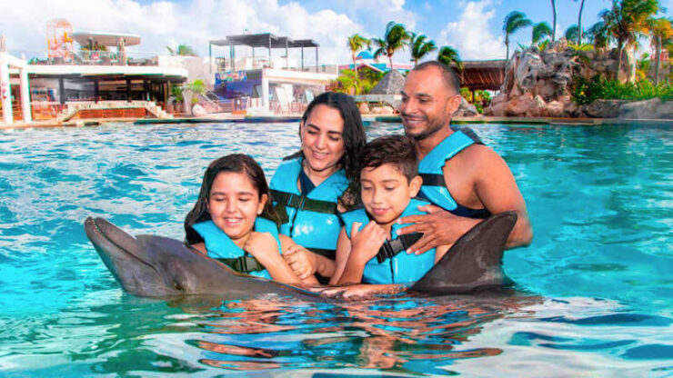 delfines