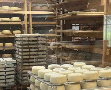 Quesos de Broto una experiencia gastronómica entre montañas y tradición 2