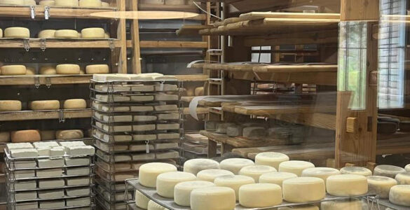 Quesos de Broto una experiencia gastronómica entre montañas y tradición 2