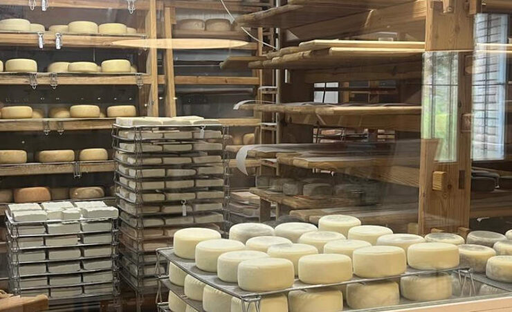 Quesos de Broto una experiencia gastronómica entre montañas y tradición 2
