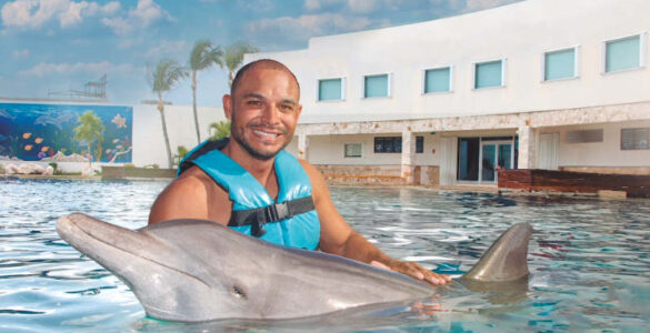 experiencia delfines cancun