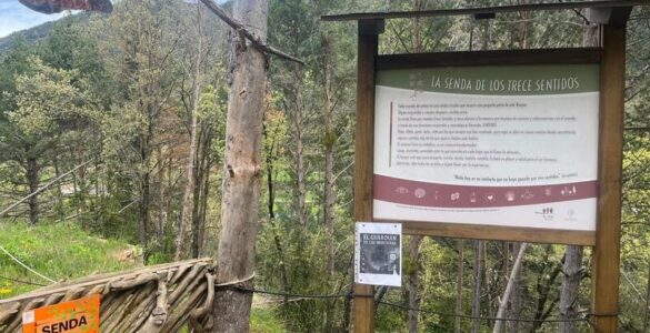 la senda de los trece sentidos