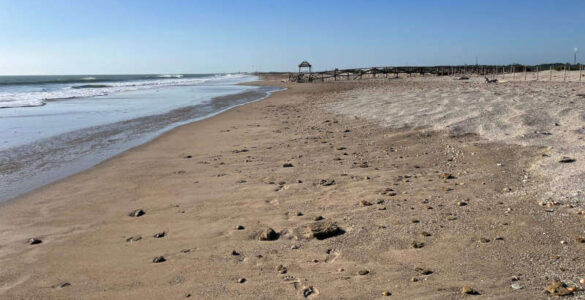 camposto playa 5 estrellas cadiz (1)