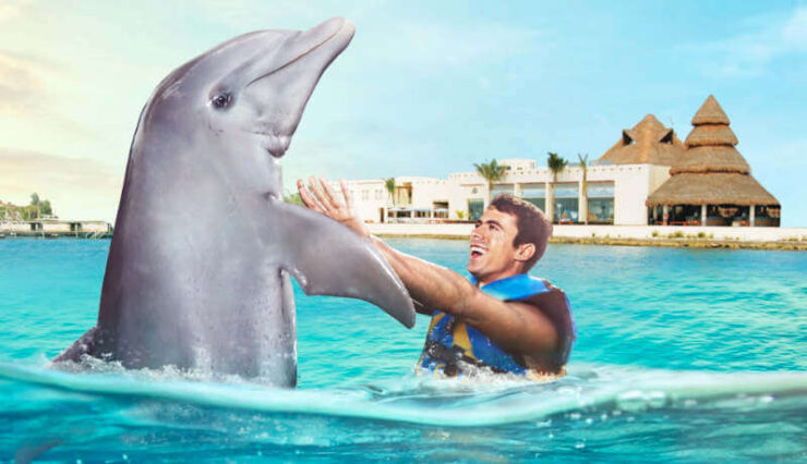 delfines Cozumel
