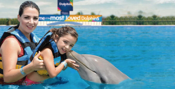 playa del carmen nado con delfines