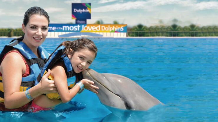 playa del carmen nado con delfines
