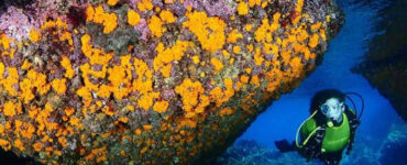 herradura granada buceo