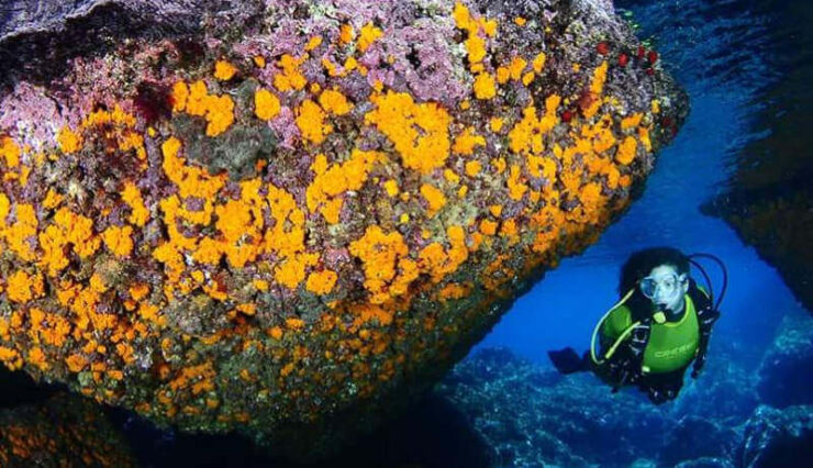 herradura granada buceo